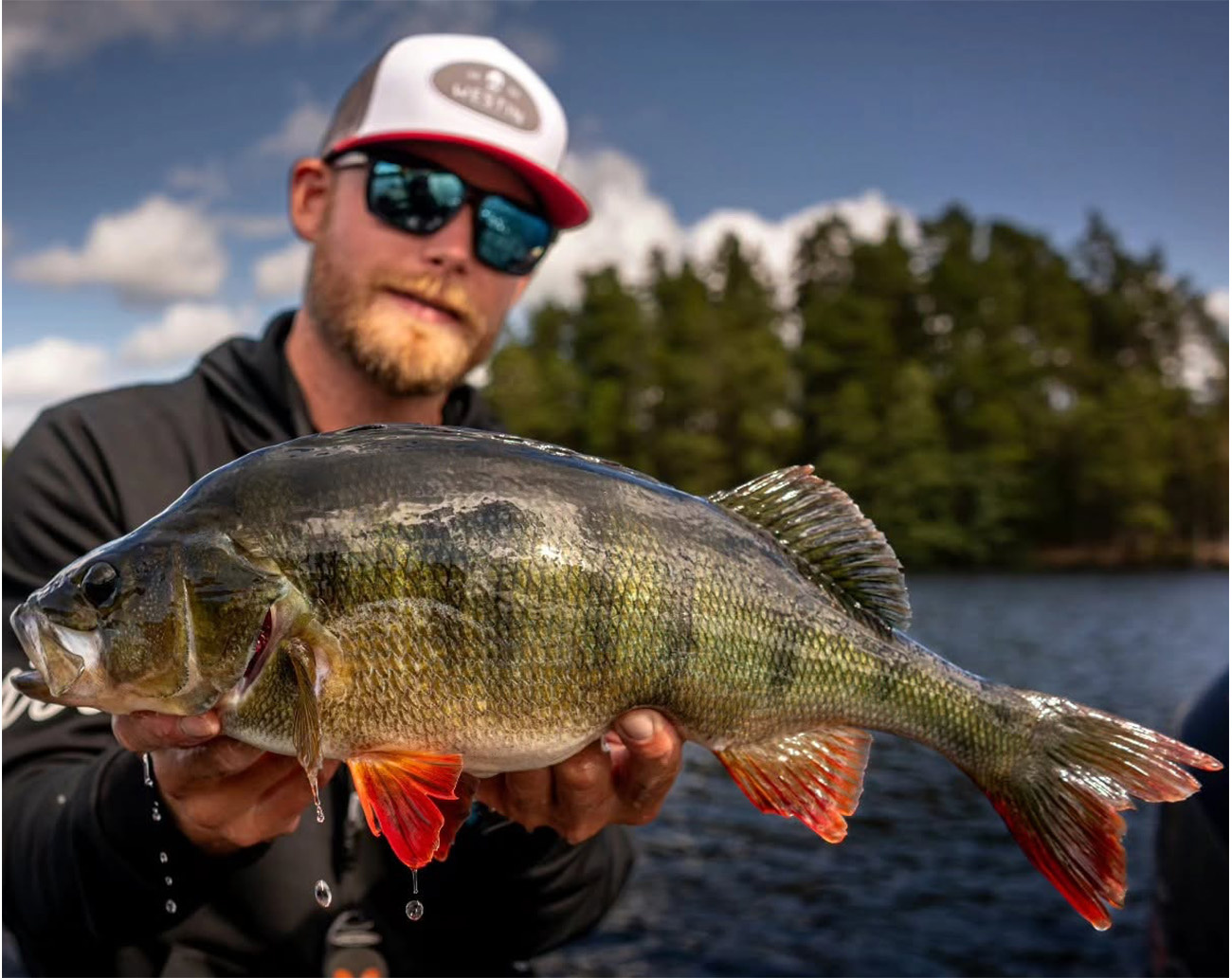 Bite of Bleak Exodus 7'4 Medium Power Fact Action 5-25 gr Haspel - Daniel Nilsson Signature